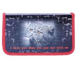 Пеналы 2 секционные