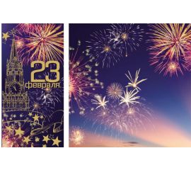 23 ФЕВРАЛЯ (гирлянды,плакаты,наклейки,магниты/шары возд)