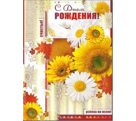 Открытки Гигант А4 с Д.Р. (женские)