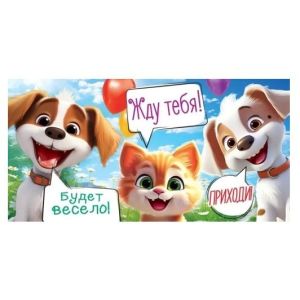 Приглашение на День рождения 96.234 (дет.)