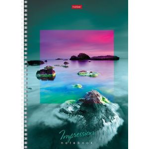 Тетрадь А4 на гребне 80л. 80Т4вмВ1гр Impressions (047077) Hatber