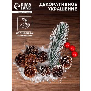 Новогодний декор «Морозные шишки», набор