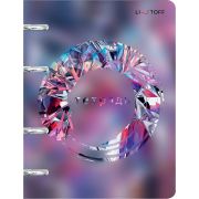 Тетрадь 100л. на кольцах кл. ТКП1005385 Сияние