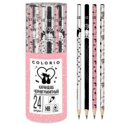 Карандаш дерев. без ластика НВ COLB-US7-103-PVC24 Colorio