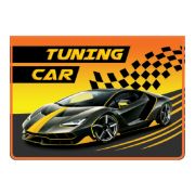 Папка д/тетрадей А4 молния сверху ПМ-А4-229 Машина Tuning