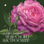 Открытка мини 2901888 От всего сердца! Чудесного настроения!