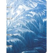 Тетрадь 100л. на кольцах кл. ТКФ1005203 Иней