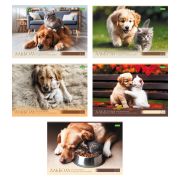 Альбом д/рисования 24л. 24А4C «Хвостатые истории»