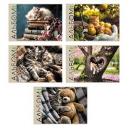 Альбом д/рисования 16л. 16А4C «Маленькие мурлыки»