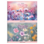 Альбом д/рисования 24л. на гребне АР4гр24 08630 «Гармония»