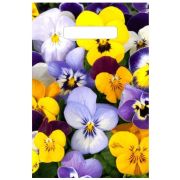 Пакет вырубка 30*20 30мк ПВД Анютины глазки (100шт)