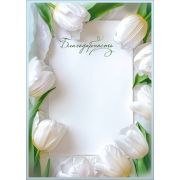 Благодарность 5.0002527 (обрамление из белых тюльпанов)