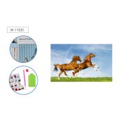 Мозаика алмазная по номерам 25*30 М-11520 КОНИ