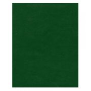 Тетрадь А4 96л. кл. бумвинил Зеленый 4096 Б2