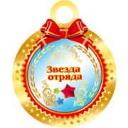 Медаль 7-41-035 Звезда отряда