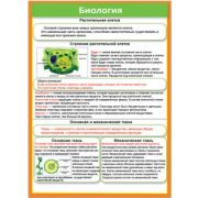 Карточка-шпаргалка 39351 Биология (р.д.)