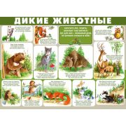 Плакат А2 Дикие животные 22,050,00