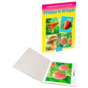 Дидакт.пособие. А5 Грибы и ягоды (арт. ПД-7215) 12 карточек