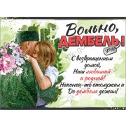 Плакат А2 «Вольно, дембель!» 0801160