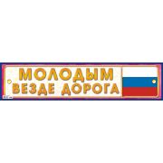 Наклейки на номер НСВ-138 Молодым везде дорога 105х480