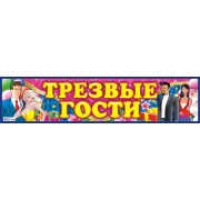 Наклейки на номер НСВ-155 Трезвые гости 105х480