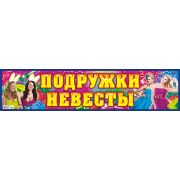 Наклейки на номер НСВ-152 Подружки невесты 105х480